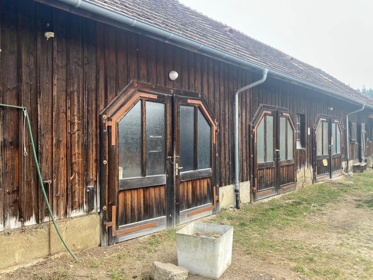Bio Hofgut Wiggenweiler Apartment Bermatingen Luaran gambar